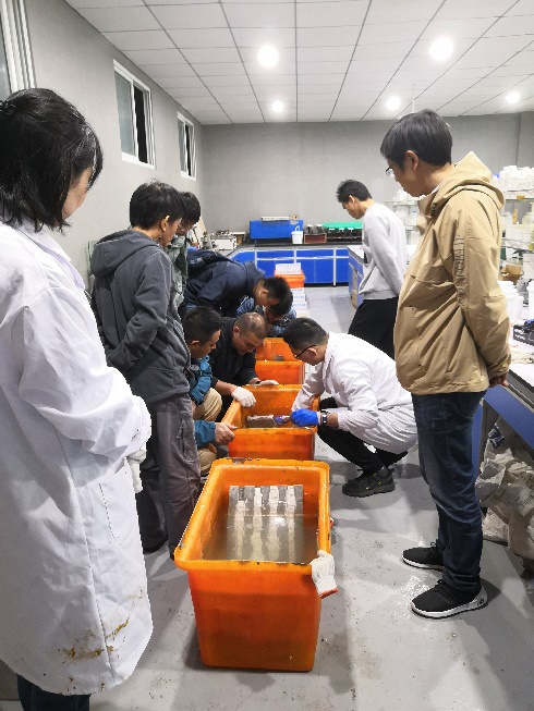 k8.com(中国区)官方网站