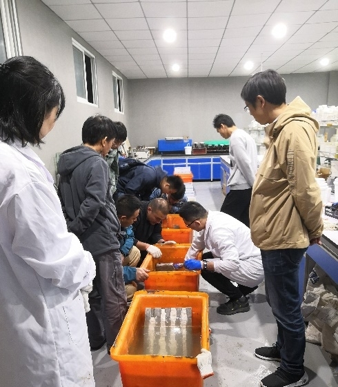 k8.com(中国区)官方网站