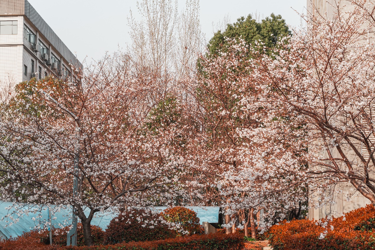 k8.com(中国区)官方网站